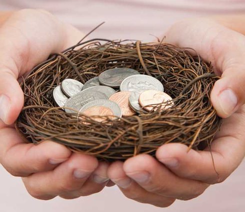 Money Nest