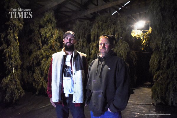 Hemp Farm 01