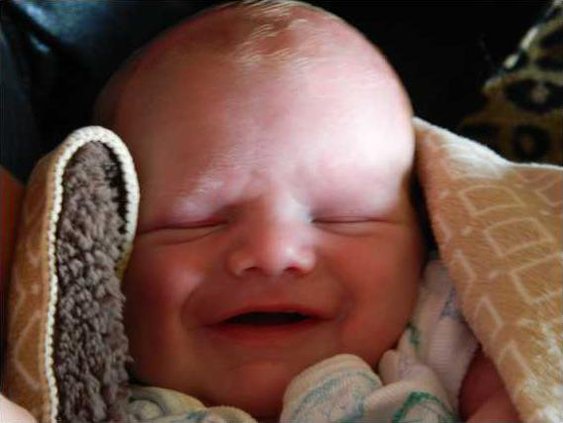 Mason Nehls baby web