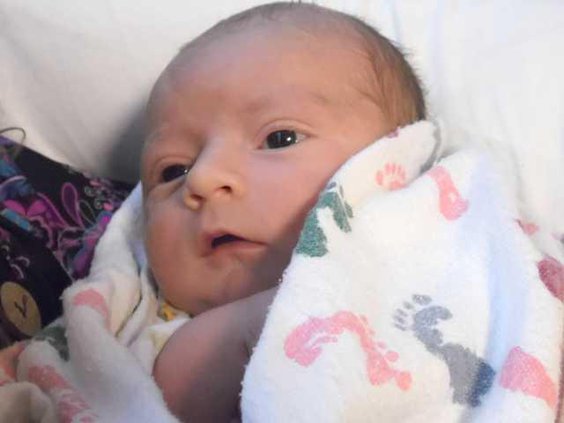 Bentley baby web