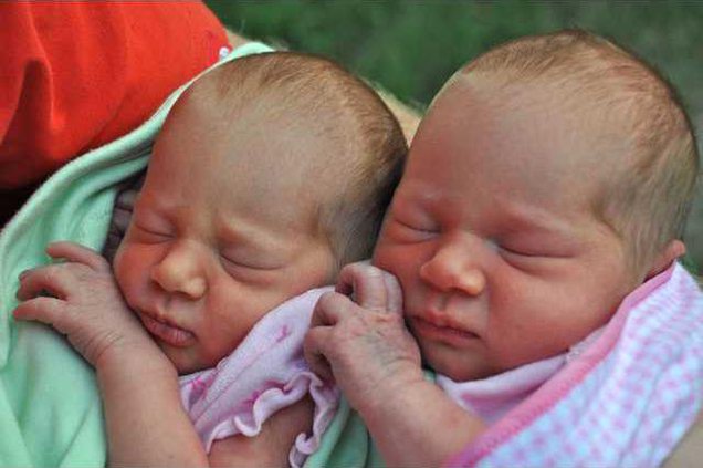 Schroeder twins web