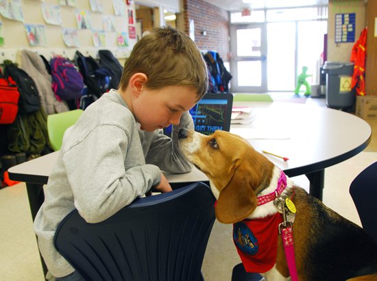 northside puppy love