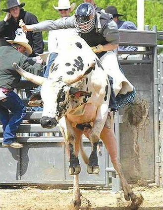 rodeo johnson