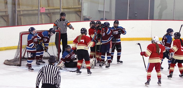 team wis hockey