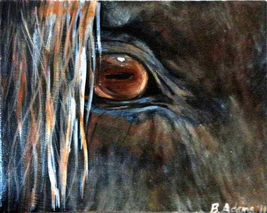 bHanley-Adams horse