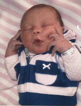 Tenley Halverson web