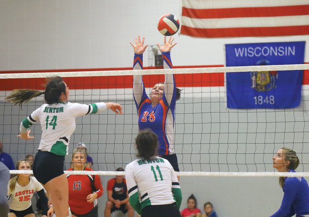 volleyball 3