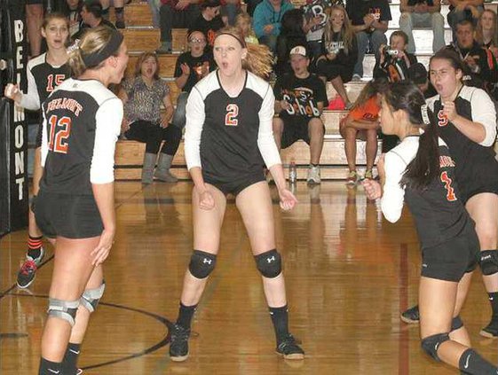 bel vb celebrate